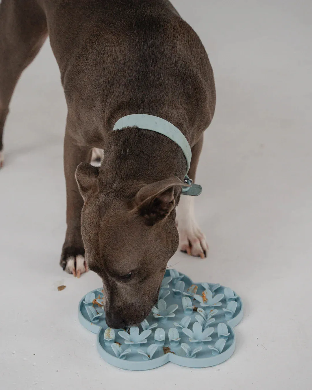 Dexypaws Flower Hide and Seek Silicone Snuffle Mat, Sky Blue for Cats or Dogs