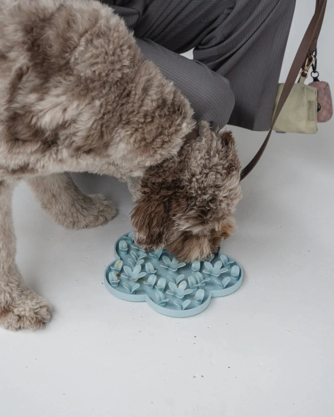 Dexypaws Flower Hide and Seek Silicone Snuffle Mat, Sky Blue for Cats or Dogs