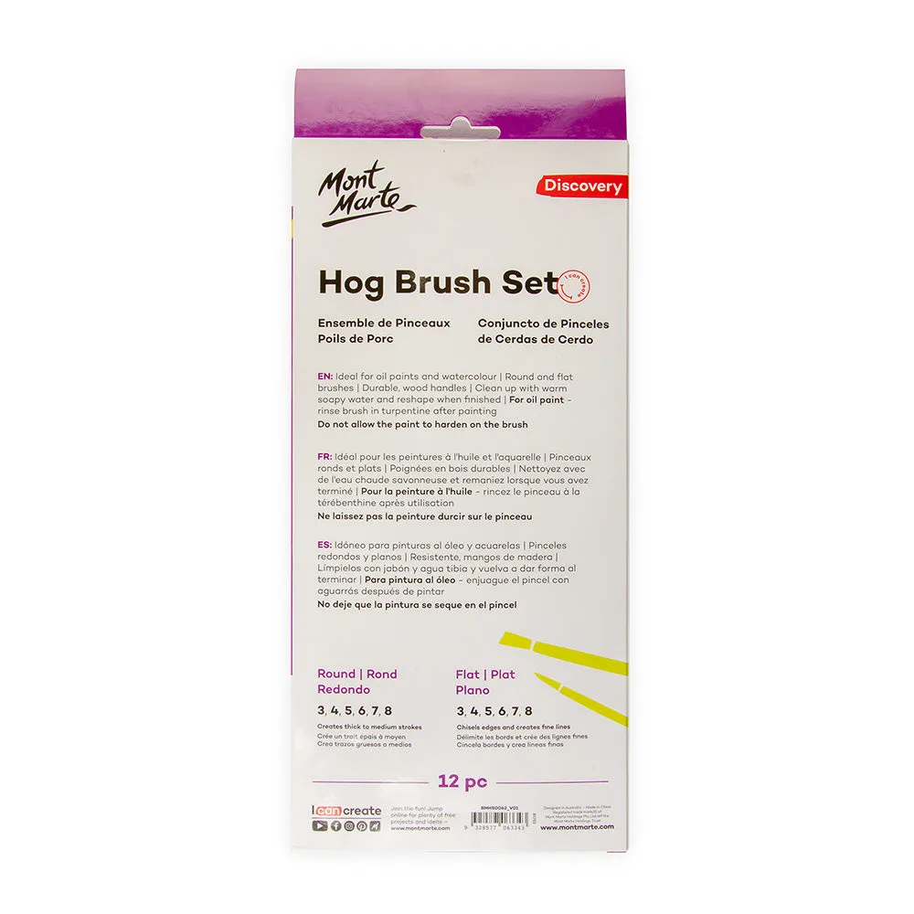 Hog Brush Set Round and Flat Discovery 12pc